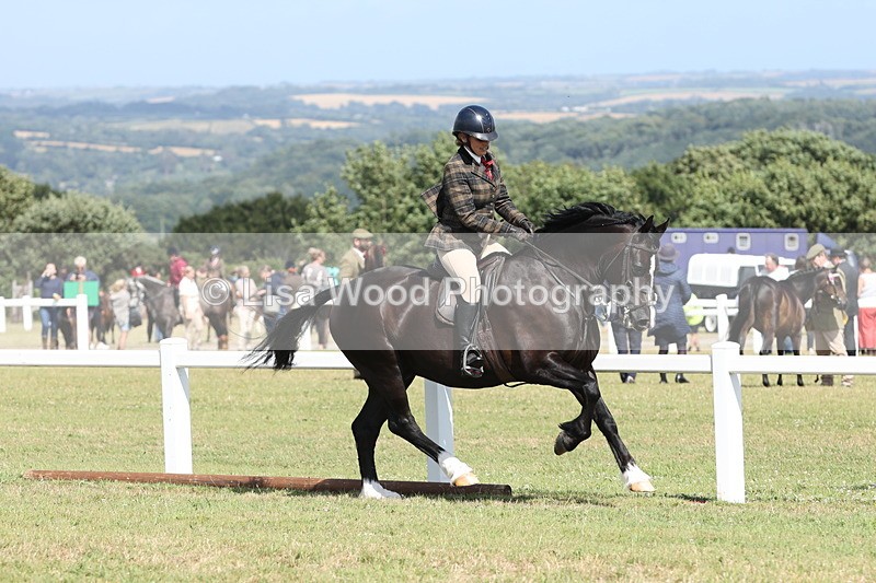 JPP_2288 - Class 19: Working Hunter 60cm