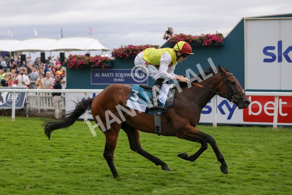 280723-Race 7-Knebworth-3023 - Race 7 8.20pm Sky Bet Go-Racing-In-Yorkshire Summer Festival Handicap