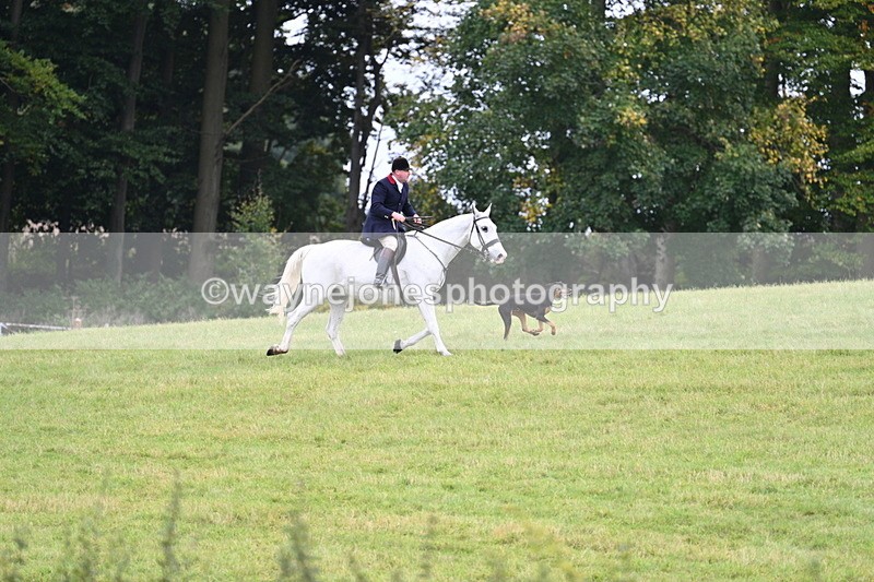 WJ7_4018 - Camera 1 Line 2