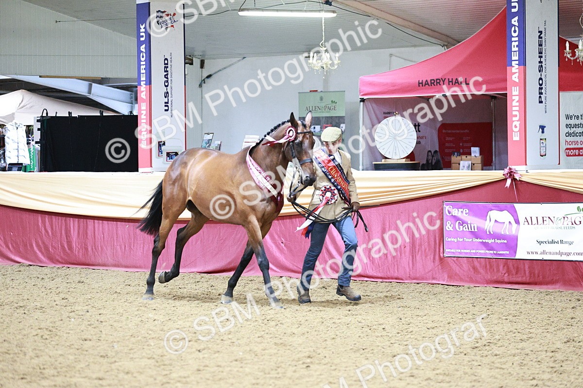 SBM_06680 - Regional - IH Champs