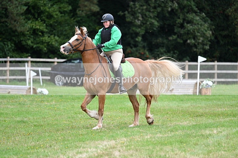 WJ7_7794 - 40cm Time 10:49 to 11:18