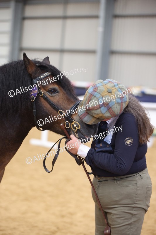 20260913-1761 - Class 117 - Stallion 4years and over