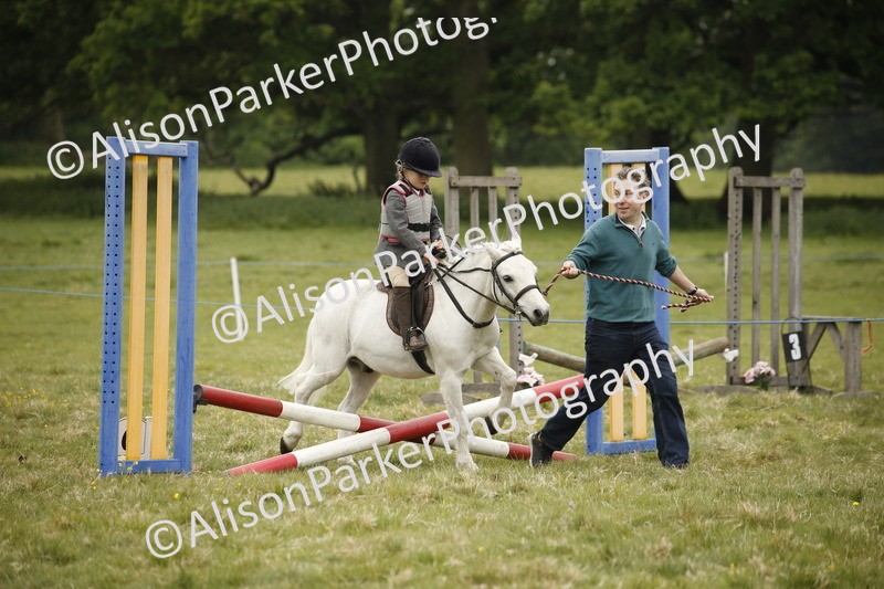 20250517-0114 - Class 1 - 30cm On Lead Rein
