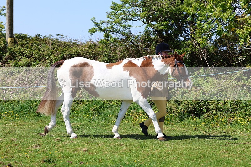 3E7A0231 - Class 19: Best Coloured in Hand