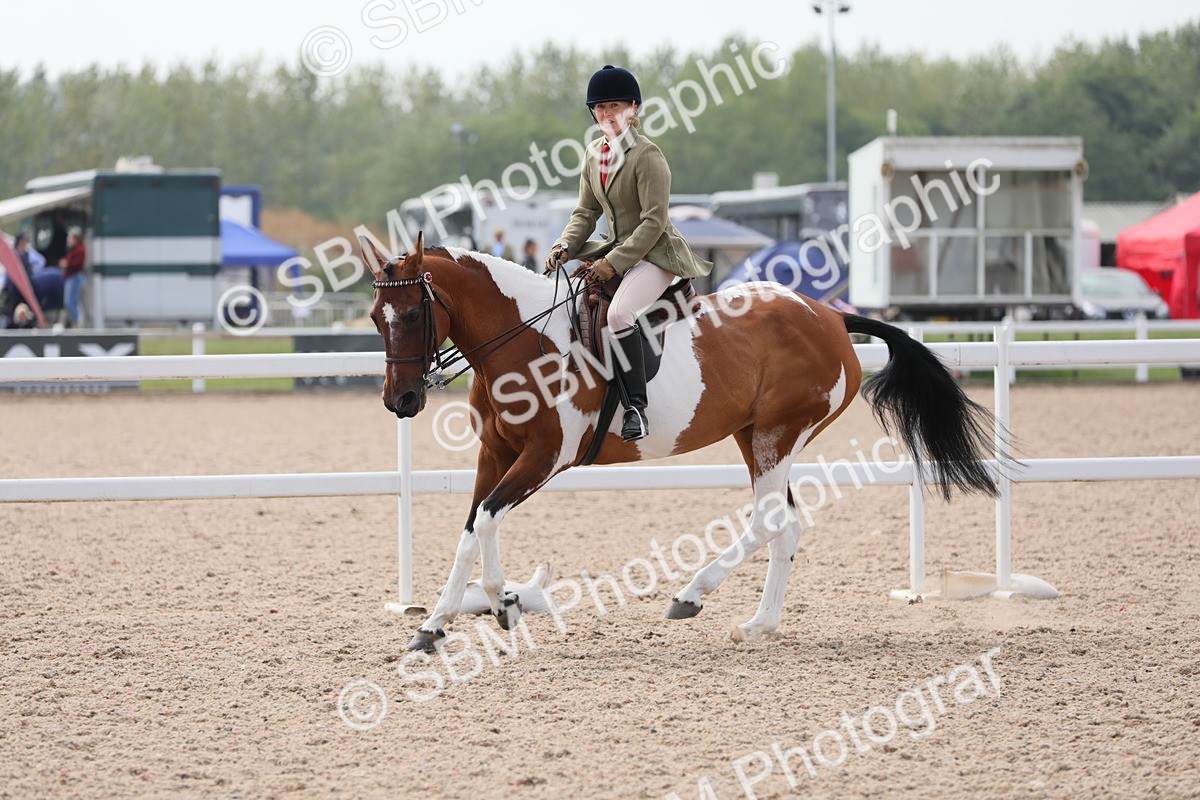 SBM_13426 - Class 308 Ridden Coloured Horse