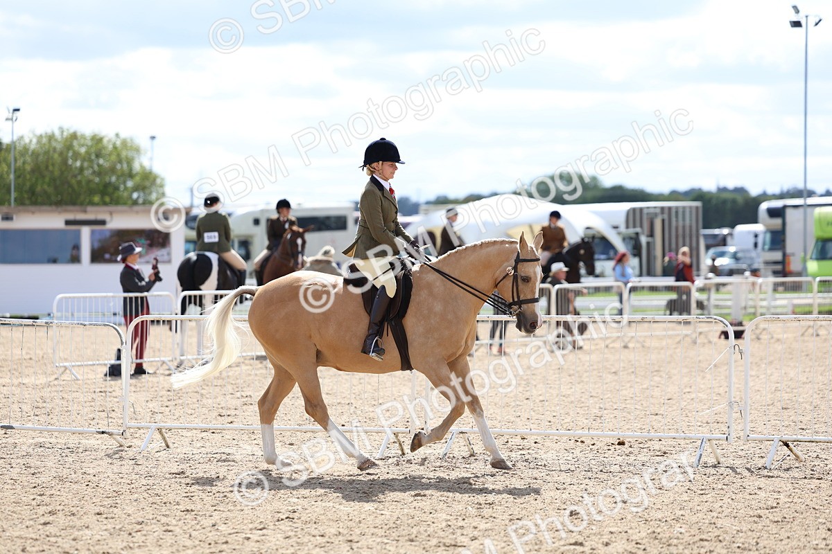 SBM_13276 - Class 311 - Ridden Show Pony Show Hunter Pony