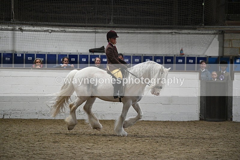 WJ7_4207 - Class 17 Ridden Cob