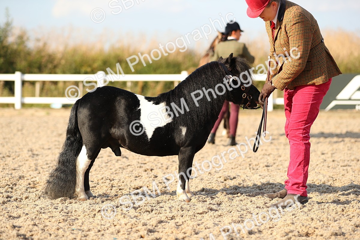 SBM_08995 - Class 29 IH Veteran Pony
