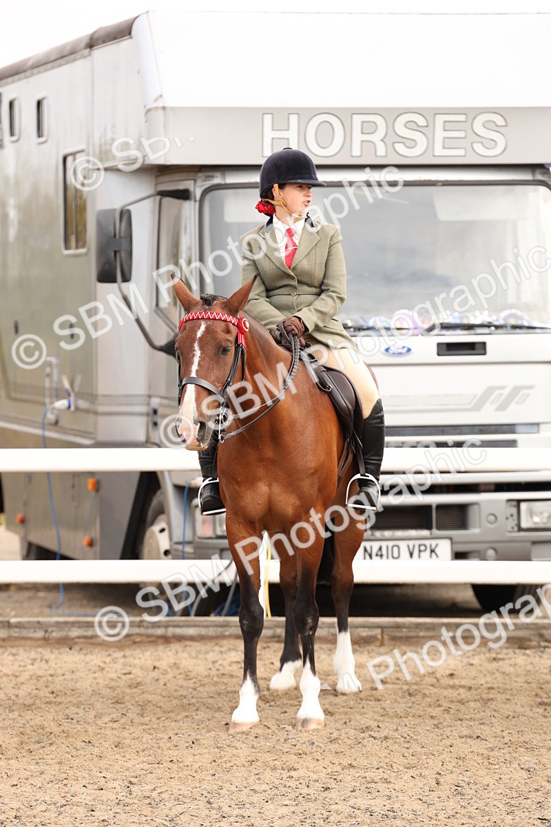 SBM_01555 - Class 52 - Ridden Veteran