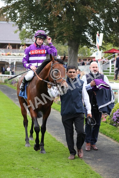 yr09102021r1-53 - Race 1 1.30pm Watch Racing Free Online At Coral Nursery Handicap