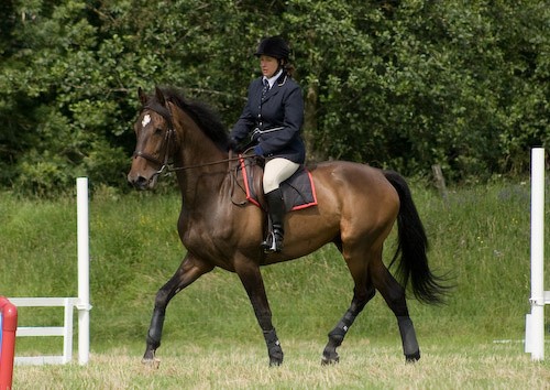 98 - Moniaive Horse Show 2008