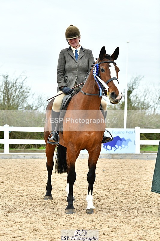 230416A-140045-04985 - Cls 60 Ridden Show Horse