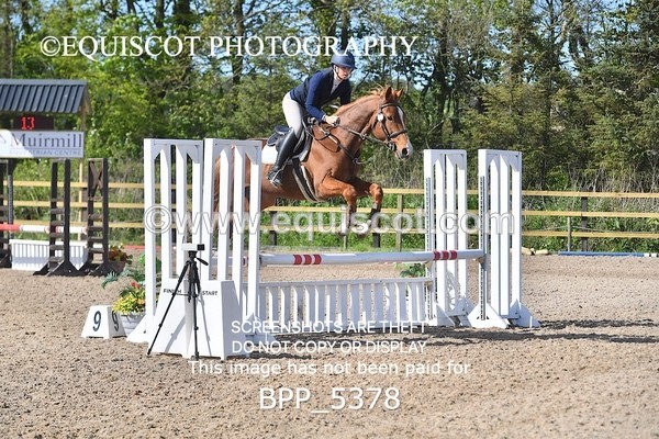 BPP_5378 - CLASS 22 SUN Club/ Unaffiliated 80cms Open