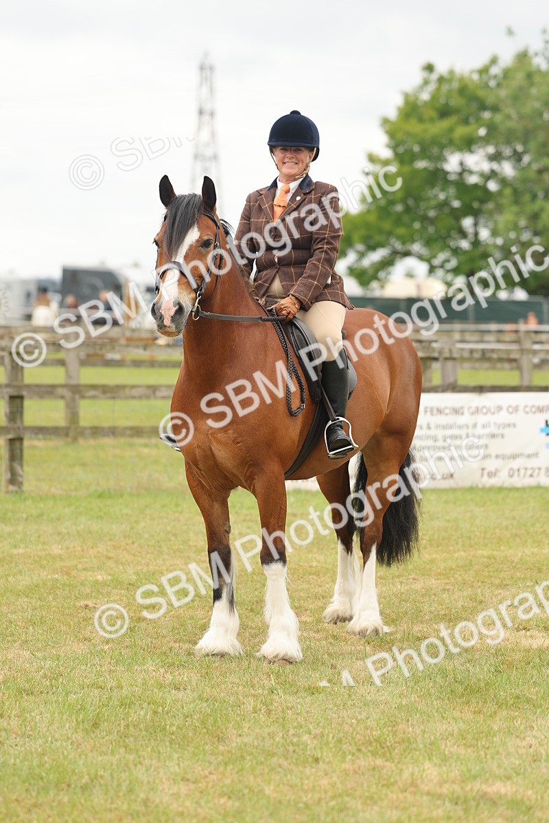 SBM_07243 - Class 76-77 - Ridden M&M Welsh Ponies