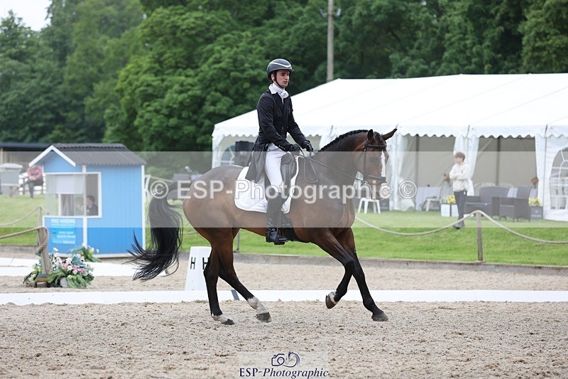 240523-165205-06077 - 235-GREENHALL_JAY-Henry_Hobby