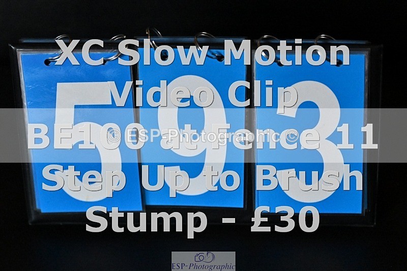 ESP_593 - 593-Abbie.Burbidge-BLUEBIRD