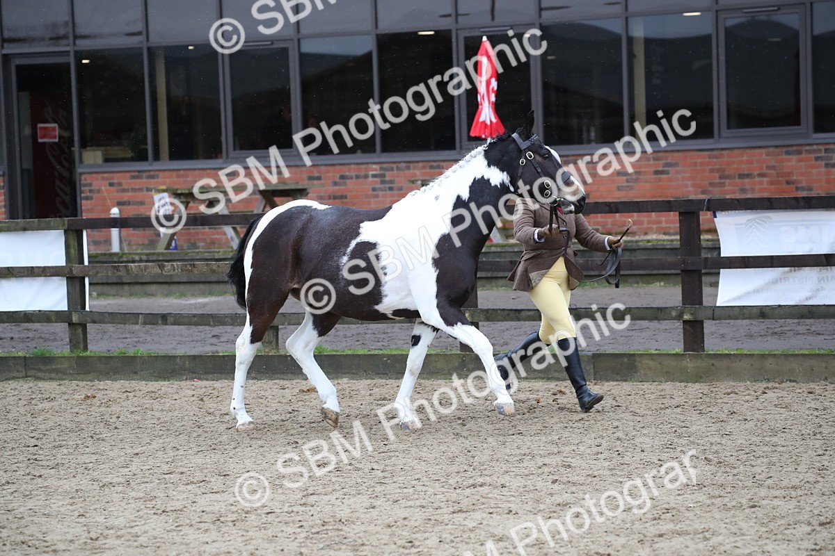 SBM_008028 - Class 15 - 18 - CHAPS Inc Championship