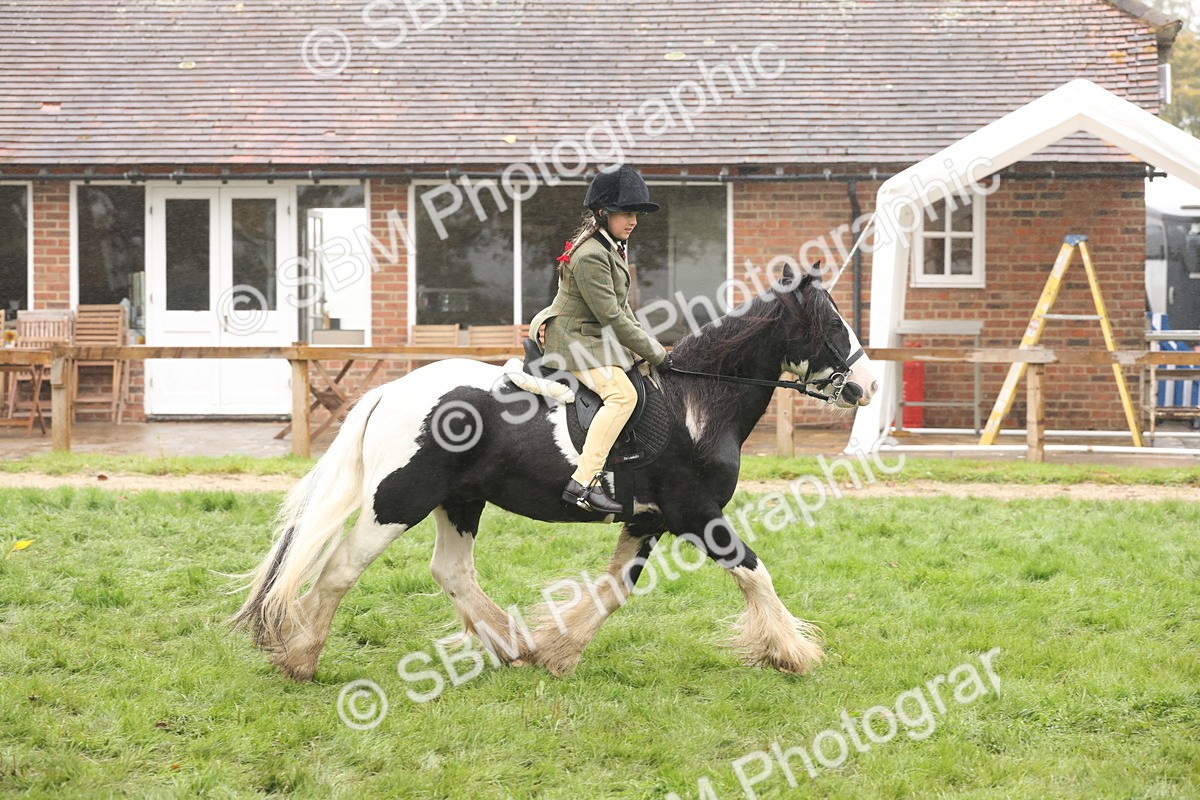 SBM_72842 - S70 - Traditional Cob Ridden