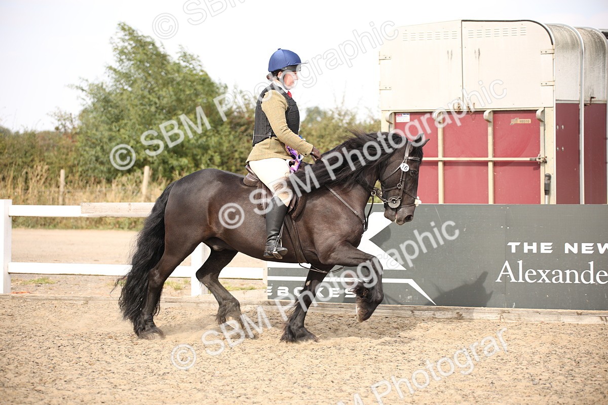 SBM_15082 - Class 408a - Working Veteran 70cm (15-19