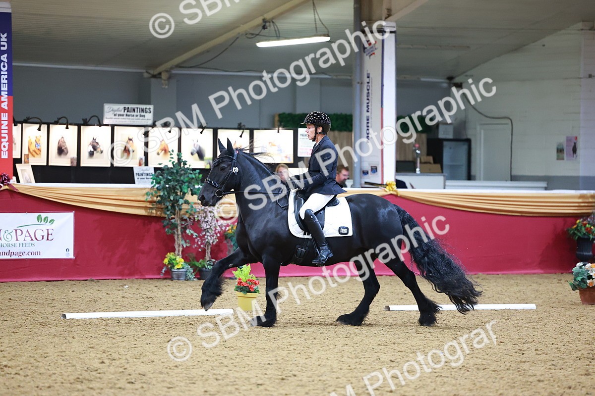 SBM_06595 - Class 61 - Dressage to Music