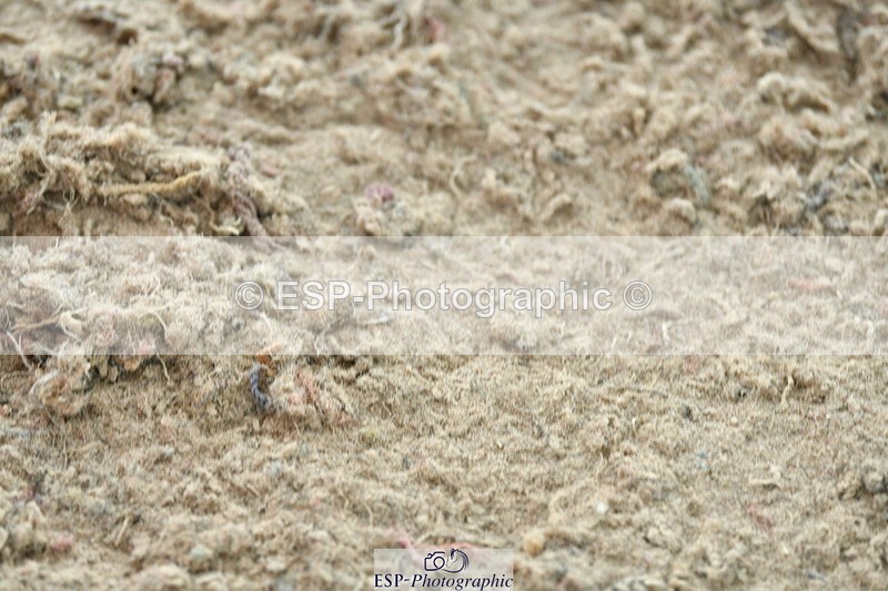 230721A-102712-05149 - Cls 30, 6 Yr Olds 1.20m