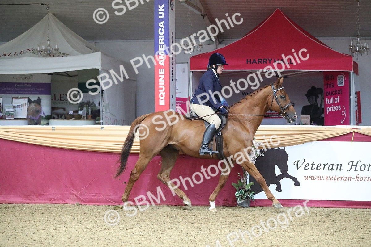 SBM_12308 - Class 108 Ridden Retired Racehorse- Pre Judging