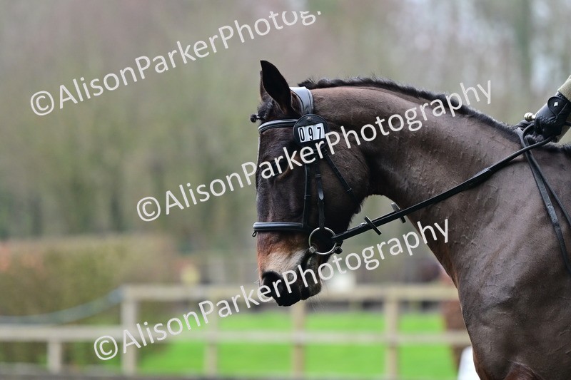 20260125-3845 - Class 12 - Novice