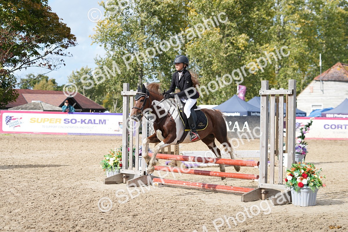 SBM_46953 - J7 - Junior Pony 60cm Championship