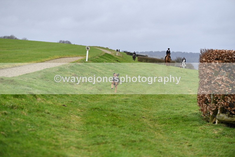 WJ5_3777 - Cam A