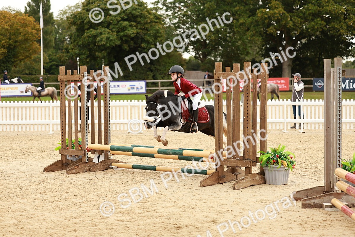 SBM_57923 - J11 - Junior Pony 50cm Championship