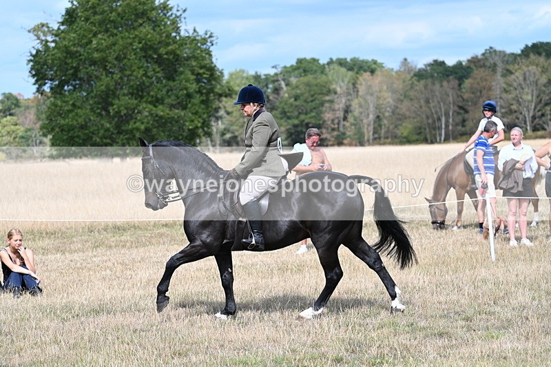 WJ7_6163 - Class 13 Ridden Veterans