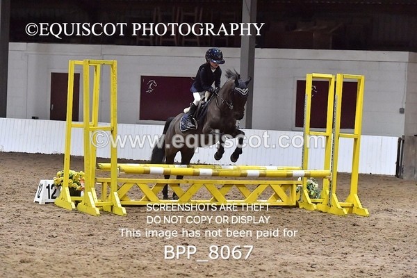 BPP_8067 - CLASS 1  Club/ Unaffiliated 60cms Open