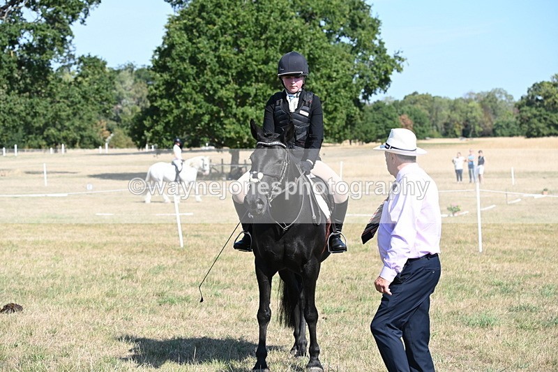 WJ6_7598 - Class 34 Judges Choice