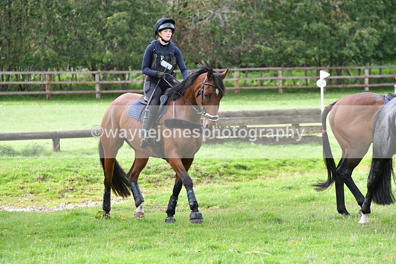 WJ5_9961 - Time 13:25 to 13:58