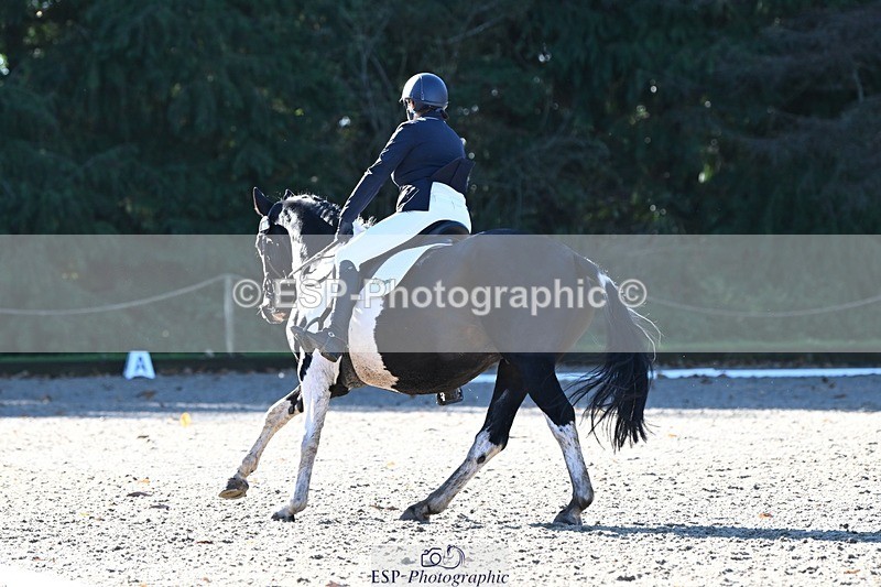 231110-104637-00198 - Cls 2 Prelim 17(a)Q