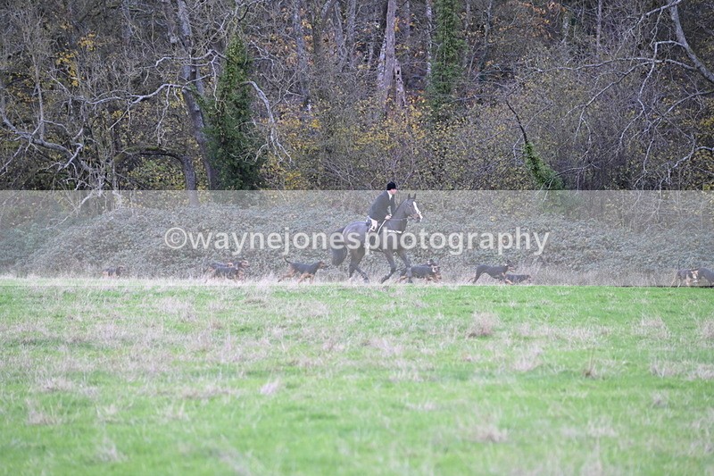WJ6_0786 - Camera 1