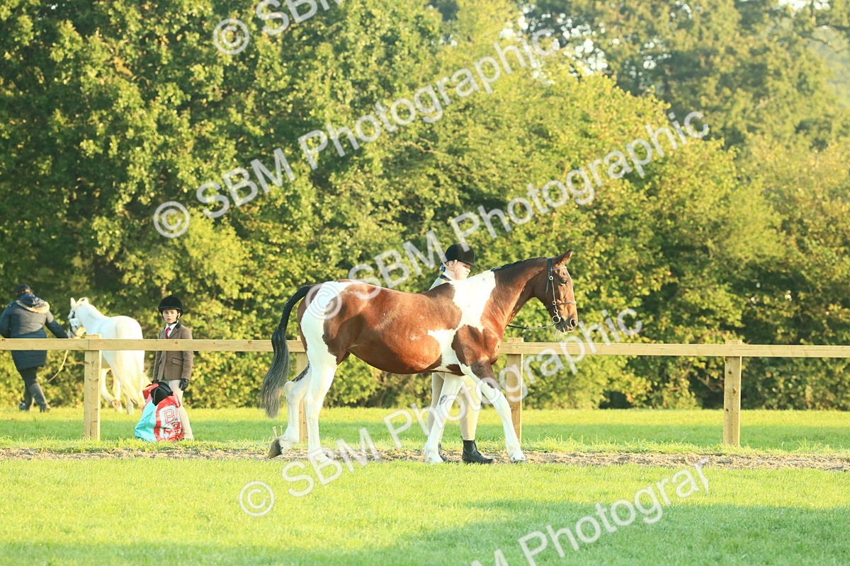 SBM_56502 - S36 - Starters Best Turnout