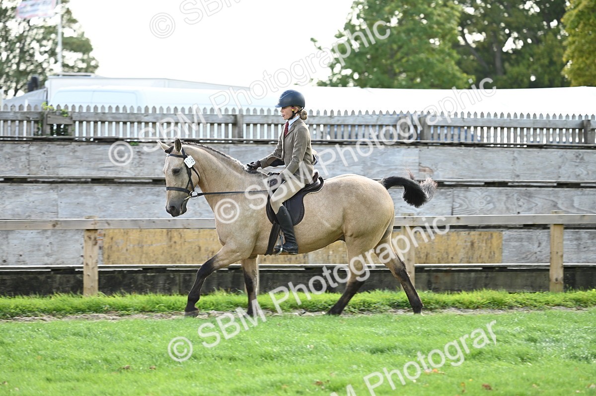 SBM_01880 - S2 - TSR Ridden Horse Showing
