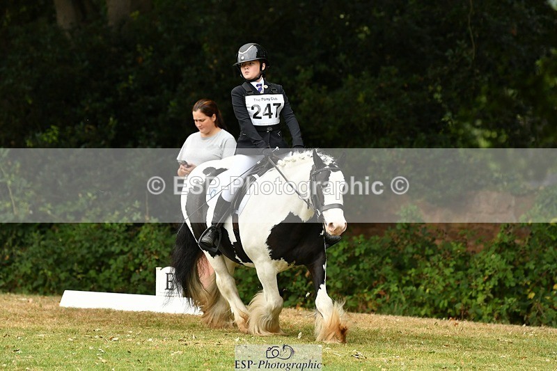 250820A-122603-05601 - 12 to 13.00