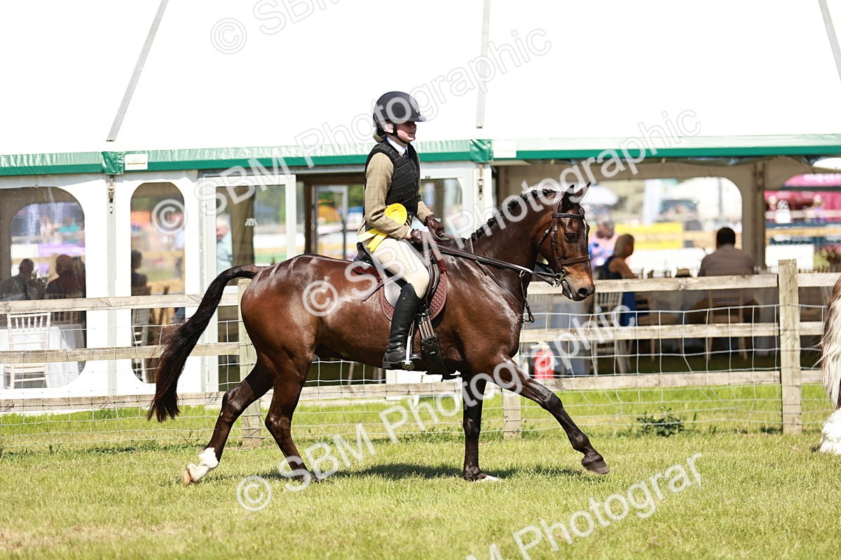SBM_17687 - Class 112-113 - BSPS LIHS Working Sports Pony
