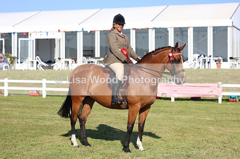 3E7A5179 - Class 1: Rising Star Small Hack/Riding Horses