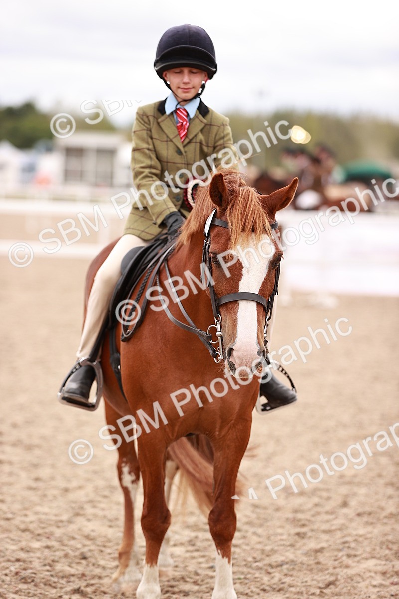 SBM_18624 - Class 421 - Childs Best Friend - Jnr