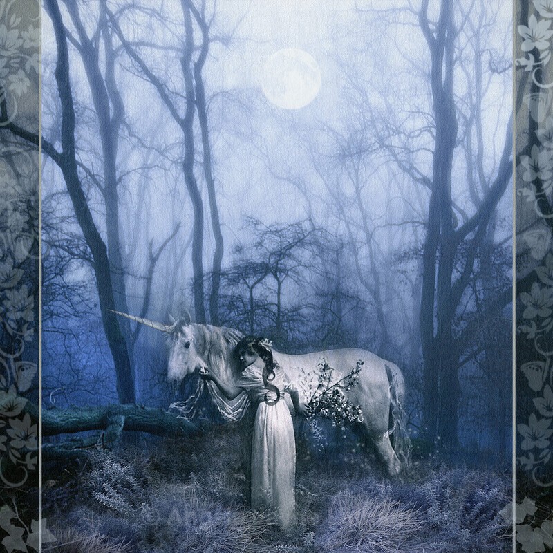 The Meeting in the Woods - Square Magic & Mystery Prints