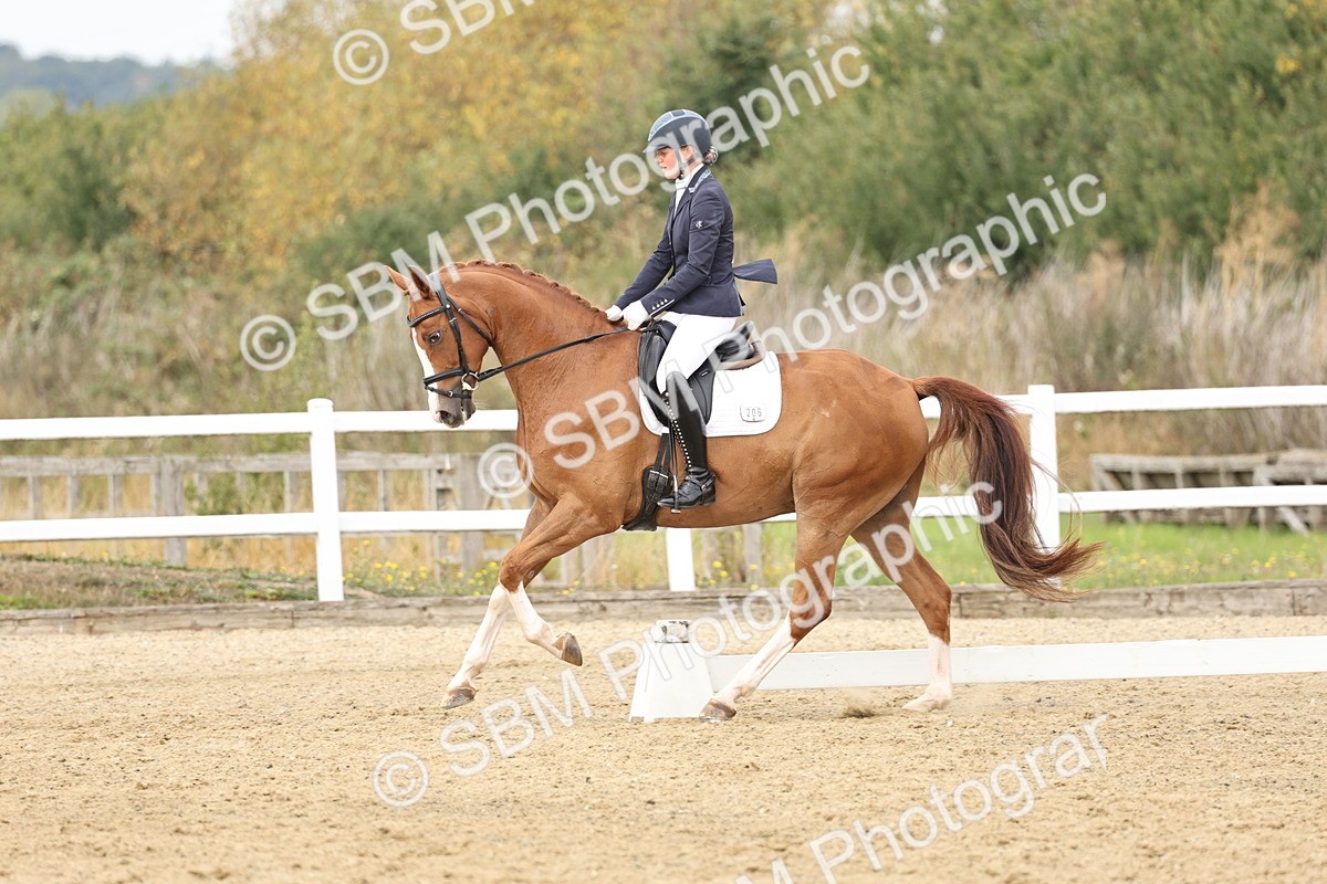 SBM_013119 - Class 3 - Novice 4 - 11.43-12.25