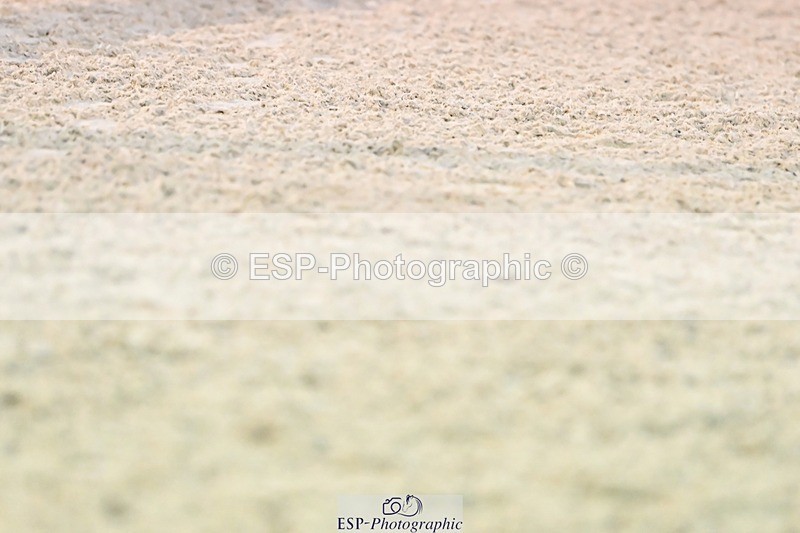 241103-165613-03445 - Novice 1 - 16.18 to 17.50