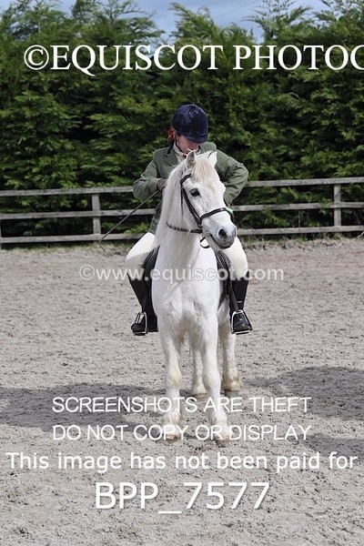 BPP_7577 - RING 1  (RIDDEN HORSES / IN HAND / VETERAN ETC)