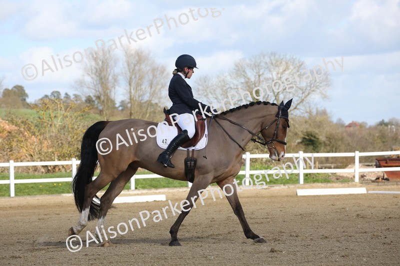 20260314-4001 - CT4 - Novice 1