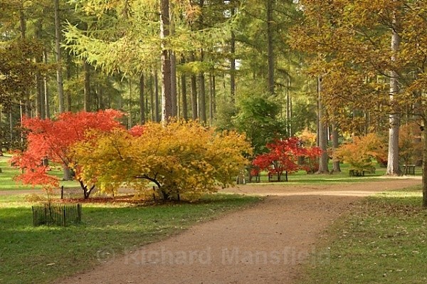  - Autumn