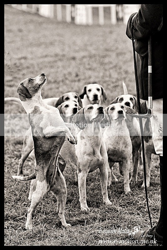 _LES3771bw - B & W photography