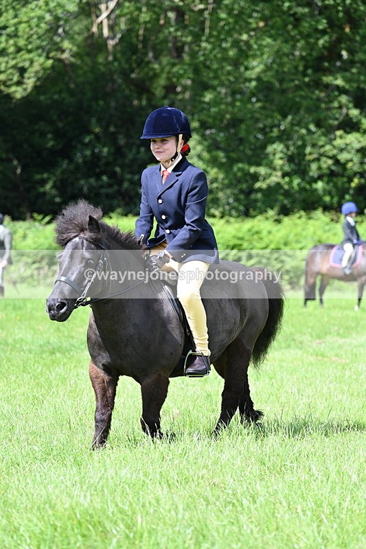 WJ7_1267 - Class 11 Condition & Turnout